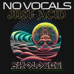 No Vocals Just Acid