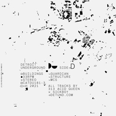 PREMIERE: 313 Acid Queen & Sickboy - Structure [Detroit Underground]