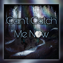 Can’t Catch Me Now (From Hunger Games The Ballad of Songbirds of Snakes) (TheSnaccGawd Edition)