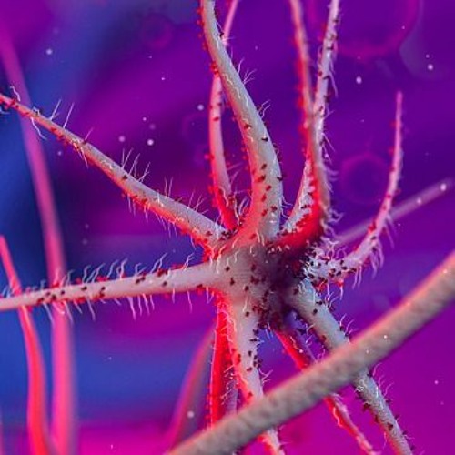 Stream Governments Use Their Own Populations For Germ Warfare Testing 