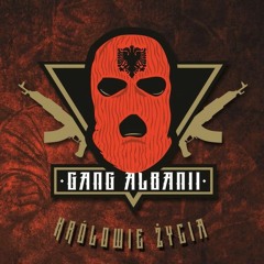 Gang Albanii - Królowie Życia