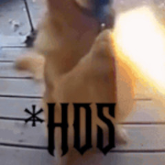 *HDS cant stop raving 🐧🐧🐧🐧