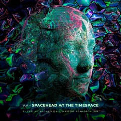 11. MALICIOUS - Distorted Source [V.A Spacehead at the Timespace]