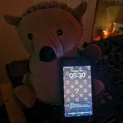 OMIT @WG Abriss Ulm 08.03.2025 | Rave until the police crashes