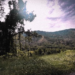 broad dayy ( dk x ronn )