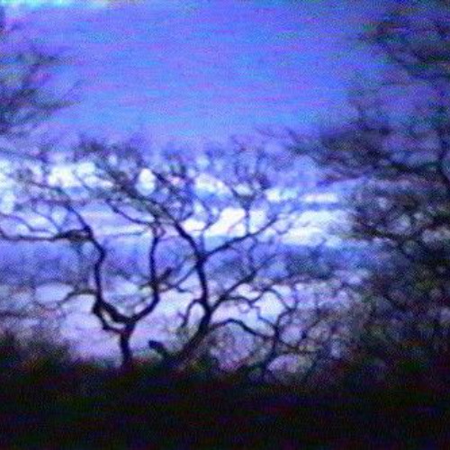 void - me x Wock! [p.pitsearches]