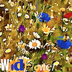 WILDFLOWER (cover)