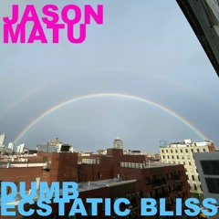 Jason Matu - "Dumb Ecstatic Bliss"