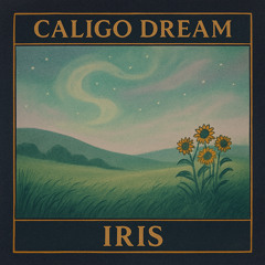 Iris - Demo