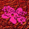 033 - ROZA TERENZI DJ mix artwork - Electronic music tracklist cover image
