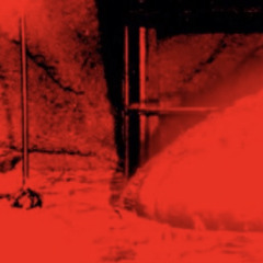 動物 (PROD. KASUMI)