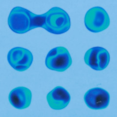 Pijus - Domino Effect (ECEE Remix)