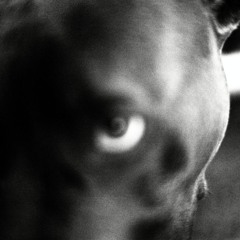 panda (free download)