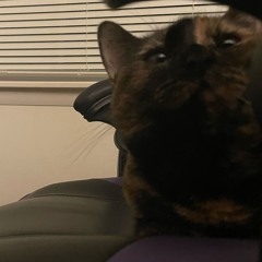 60 for a ace ft. tweeker