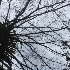 Coboy Jr - kamu(Cover) By Rani Aul Emma