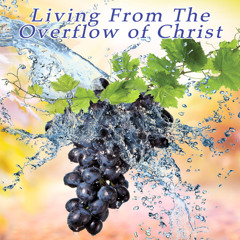 Book 4 Living From The Overflow of Christ Lesson 1