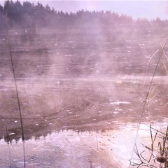 Waking Vibrations 82 (natural sounds and ambient music) 🎧 | Paulius Dauksas