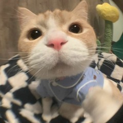 chip