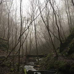 Nuclear Football (2023 Remaster)