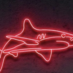 Shark Flow