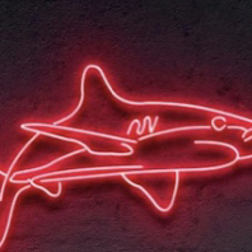 Shark Flow