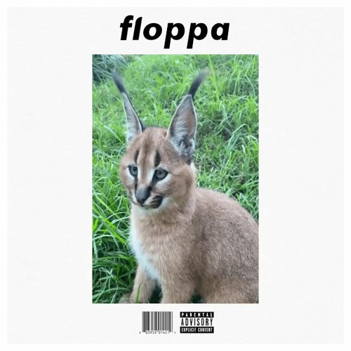 Floppa cat - floppa post - Imgur