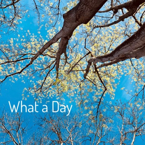 What a Day(prod.MADLIB)