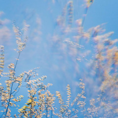 studying instrumentals