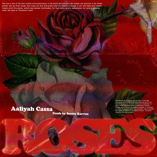 ROSES ft Aaliyah Cassa ( Prod. Scotty Karven )
