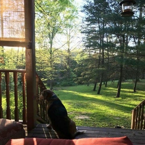 sufjan stevens fourth of july mp3 download