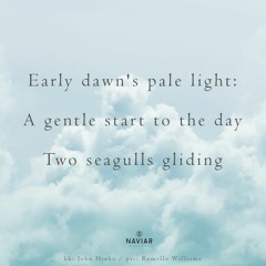 Two Seagulls Gliding (naviarhaiku517) - Adrian Lane