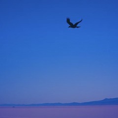 Kde si ? (lounlines is my destiny)