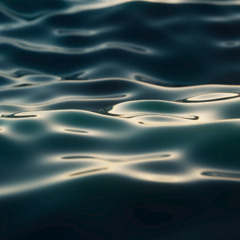 Sound of the Sea