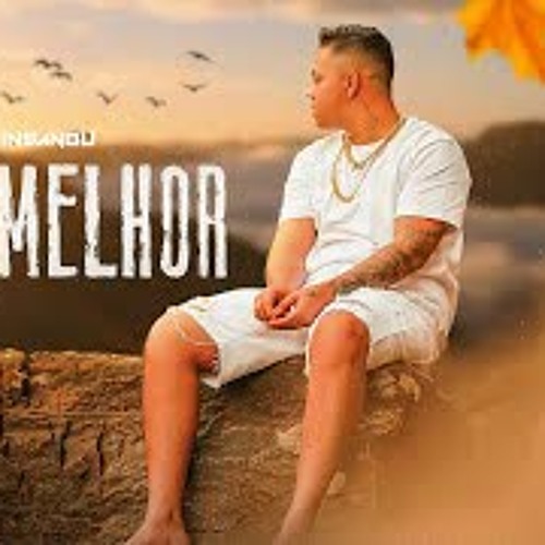 Insanou - Meu Melhor