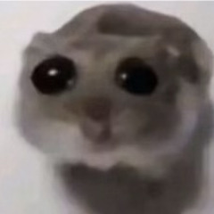 Nautti's Frequencies