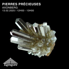 Axonberg - Pierres precieuses (Février 2025)