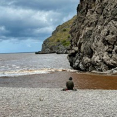 Andrey Degtyar - SST#02 /some strange_tunes from autumn2024/