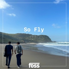 Foss - So Fly