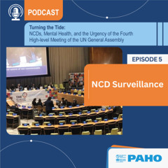 NCD Surveillance - UNGA Fourth High-Level Meeting on NCDs and Mental Health