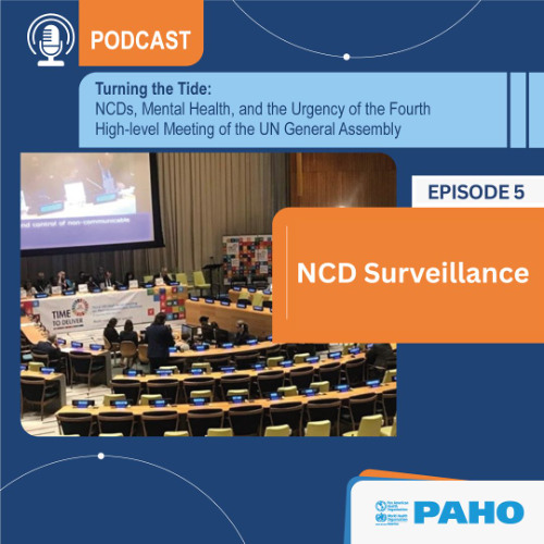 NCD Surveillance - UNGA Fourth High-Level Meeting on NCDs and Mental Health
