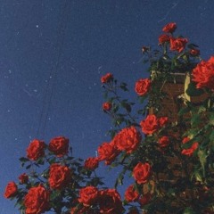 Talking To The Moon X Get You