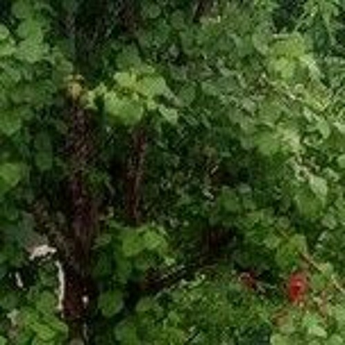 витя matanga а я не знаю как она меня выносит