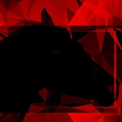 l'Morphine - Black Horse