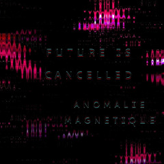 Anomalie Magnetique - La Vie C'est Fantastique