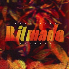 MEGA FUNK RITMADO (FIM DE ANO) - DJ RODRIGO