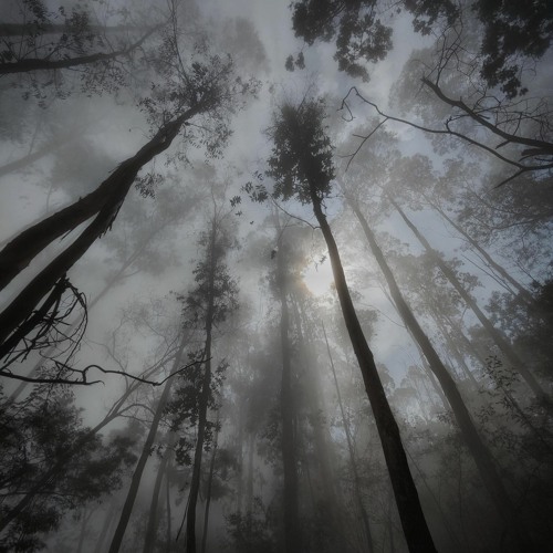 If we could reverse time