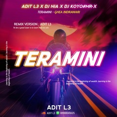 TERAMINI V3 - 2024 ( ADIT L3 X DJ KOYO X DJ NIA )#REQ MR X