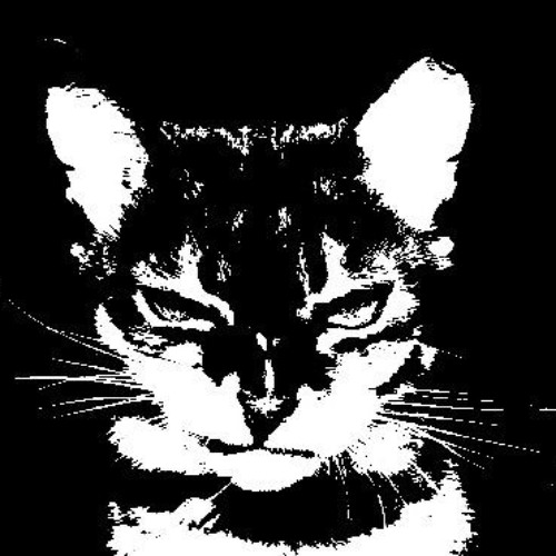 im secretly on your side