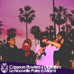 Casseurs Flowters - La Nouvelle Paire à Miami (Digitalism & Purple Idole Mashup Remix)