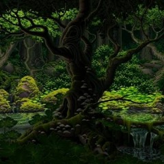 Labyrinthine Forest